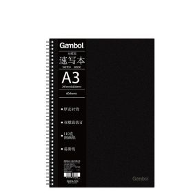 Guoyu Watanabe Double Helix Art Blank Sketchbook 16K Sketch Book Sketch Book Sketchbook A3A4A5 (Option: A3)